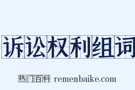诉讼权利组词是什么意思的图片